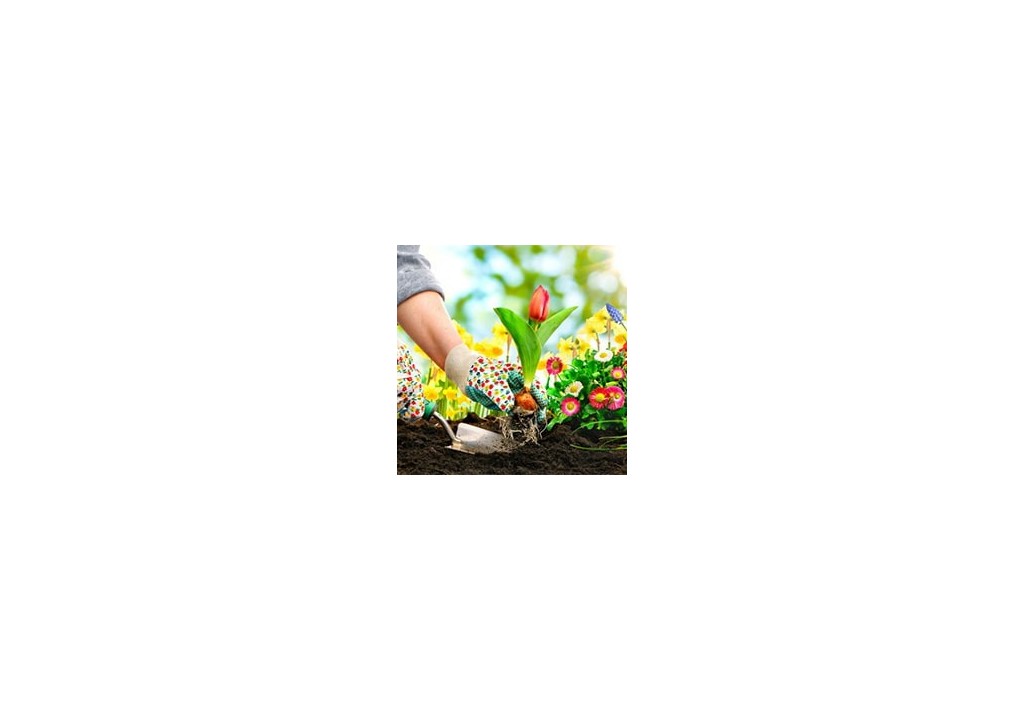 Productos para el cultivo y jardinería - PISCIMARKET