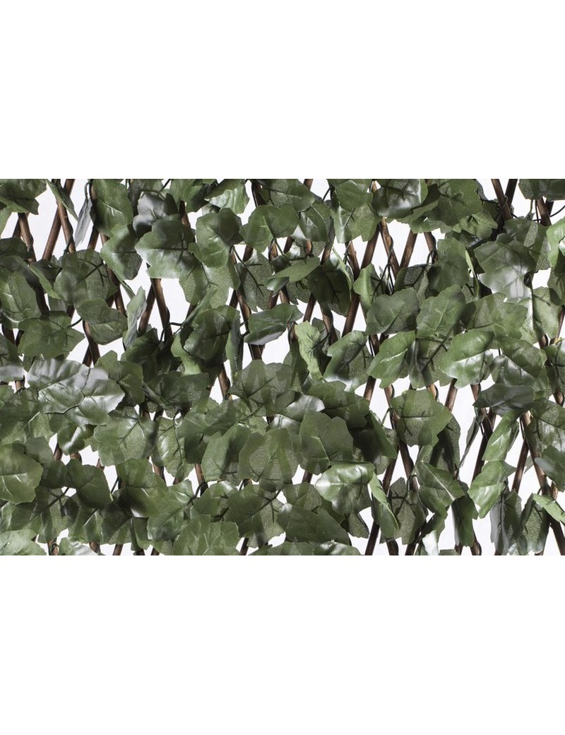 Celosia Extensible Ciprés 1X1.50 M